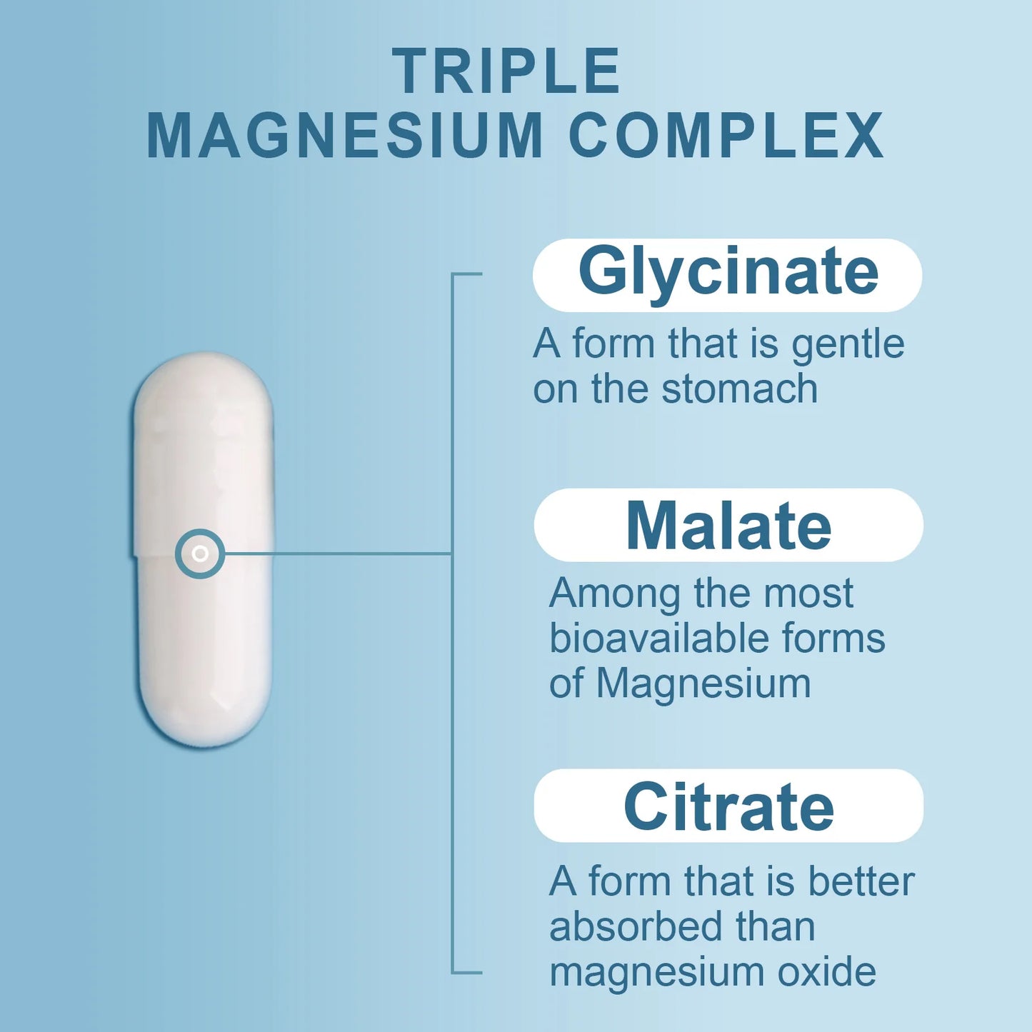 Triple Magnesium Complex - Malate + Glycinate + Citrate - High Absorption, Support Muscle, Bone & Nerves Health, 60 Capsules