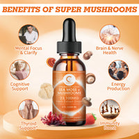 GPGP GreenPeople 60ML Organic Sea Moss & Mushroom Drops Support Brain and Neural Health, Increase Memory, Improve Focus