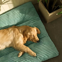 Thickened Ultra-Soft Luxury Dog Mattress - Exclusive Pet Bed Cushion, Comfortable and Warm Rectangular Dog Bed, Suitable for All Seasons, Ultimate Comfort, Machine Washable, Easy-Care Pet Paradise for the Living Room, Oval Sh