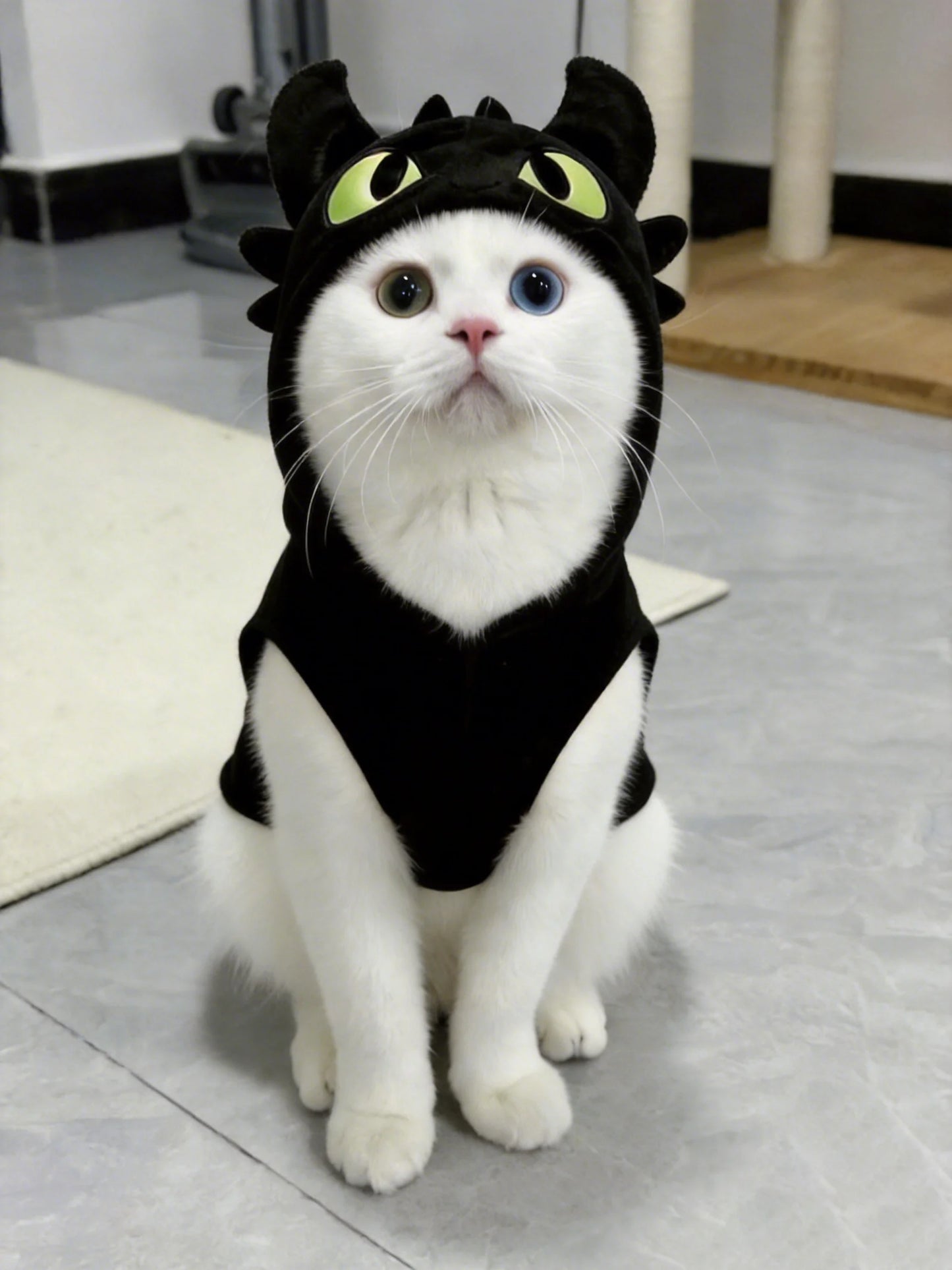 Little Devil Cat, Dog Clothes, Winter Cat, Puppy Cat, Blue Cat, Kitten, Pet, Hair Loss Prevention, Autumn and Winter Collection