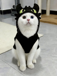 Little Devil Cat, Dog Clothes, Winter Cat, Puppy Cat, Blue Cat, Kitten, Pet, Hair Loss Prevention, Autumn and Winter Collection