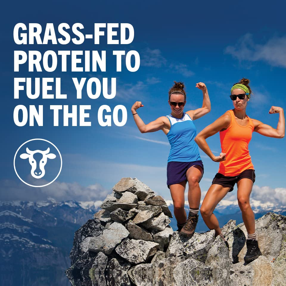 Clean Protein Shake, Grass Fed Dairy, Vanilla Bean - 20G Whey High Protein, Kosher, Ready to Drink, Low Net Carbs, Gluten Free, No Soy Ingredients, 11 Fl Oz (Pack of 12)
